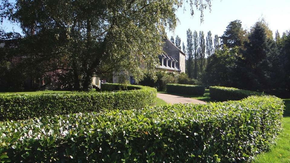 Le Moulin De Chareau Bed & Breakfast Reugny  Bagian luar foto